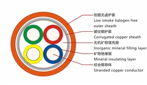 一带一路沿线国家光伏分析：沙特阿拉伯