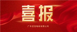 喜报丨坚宝被评为清洁生产企业