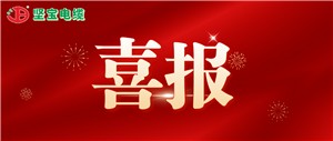 喜报丨坚宝获评绿色工厂