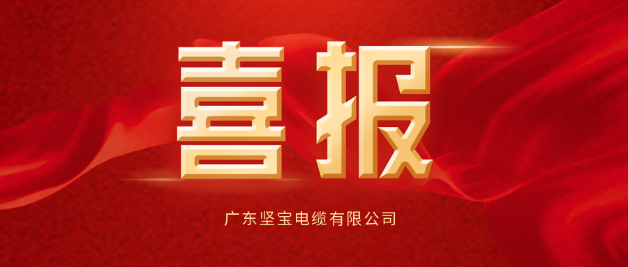 喜报▏热烈祝贺广东坚宝电缆有限公司获得燃烧等级证书